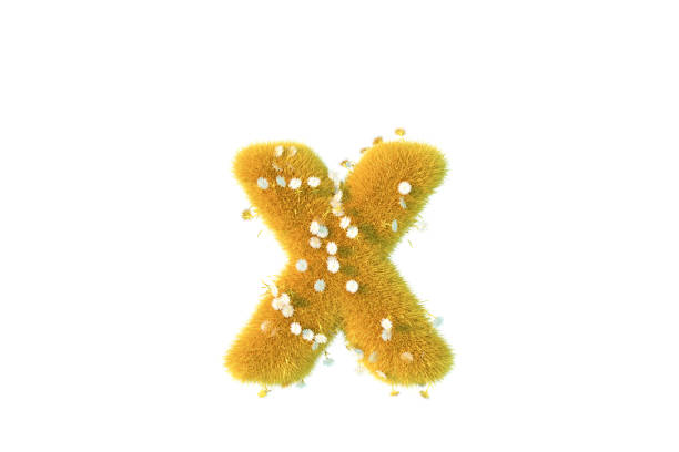Car paint letter X on a black background. 3d illustration.