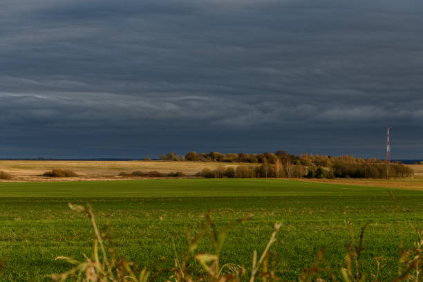 istock Green and yellow field under thunderstorm sky 1371709968