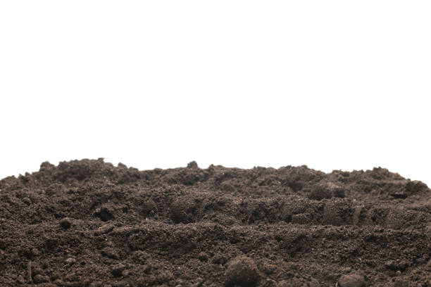istock Black land for plant isolated on white background. 1371712489