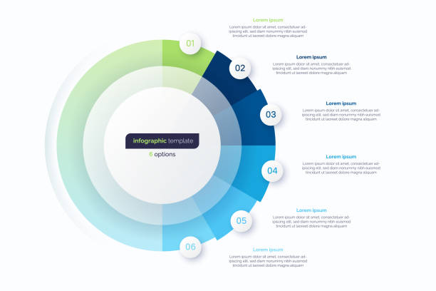 ilustraciones, imágenes clip art, dibujos animados e iconos de stock de plantilla de diseño de infografía de círculo de seis opciones. ilustración vectorial - media docena de huevos