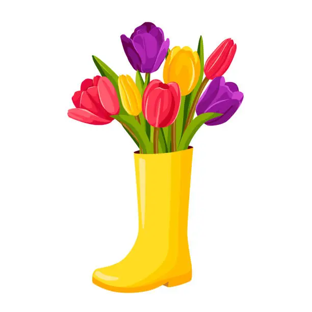 Vector illustration of Colorful bright tulips in yellow rubber boots. Vector illustration