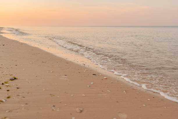 istock Surf wave on sandy shore of sea or ocean during sunset 1371716930