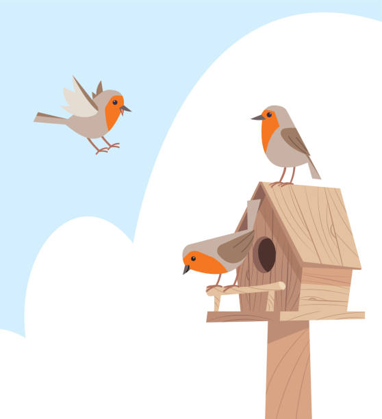 버드하우스의 새들 - birdhouse stock illustrations