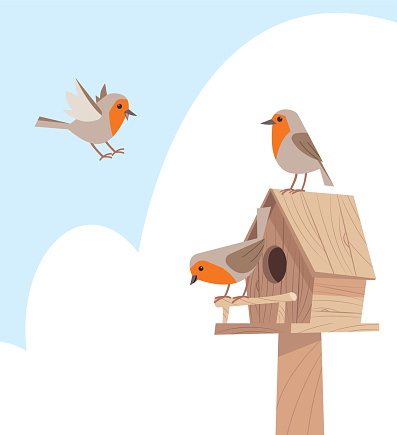 Vector Birds in Birdhouse