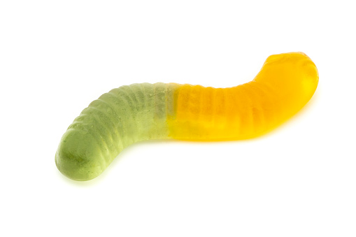 One whole green yellow colourful jelly worm candy isolated on white background