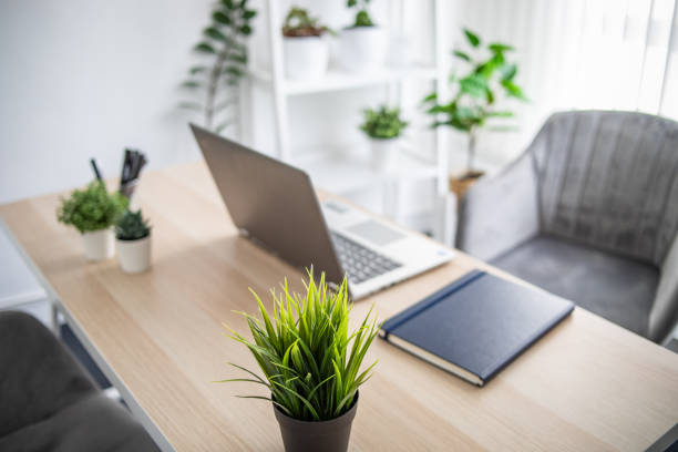istock Desk with laptop, diary and ornamental plants 1371721782