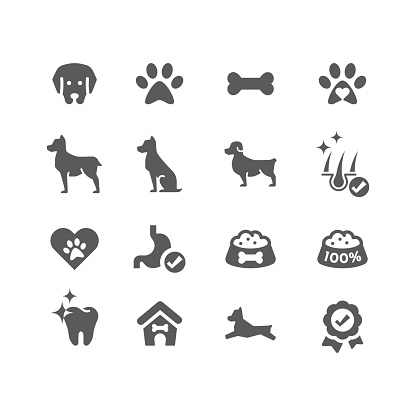Paw print, dog food, bone filled icons