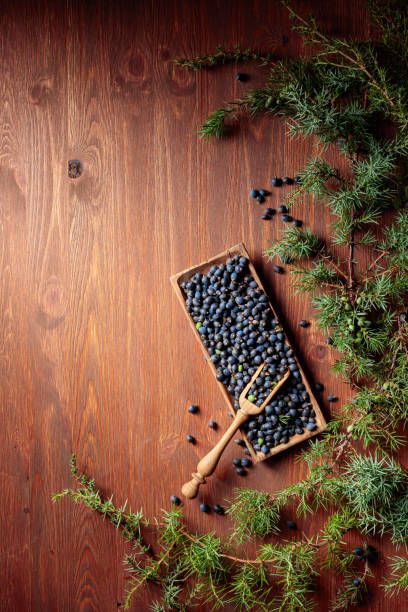 istock Juniper branches and seeds on a wooden background. 1371726807