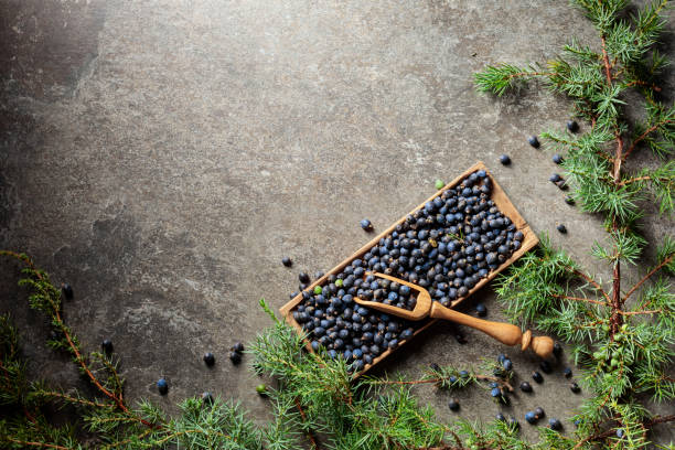 istock Wooden bowl with seeds of juniper. 1371726814