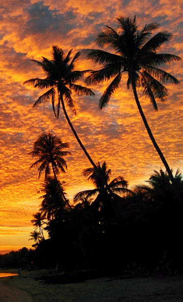 istock Magical  places in Ko Samui,Thailand 1371729200