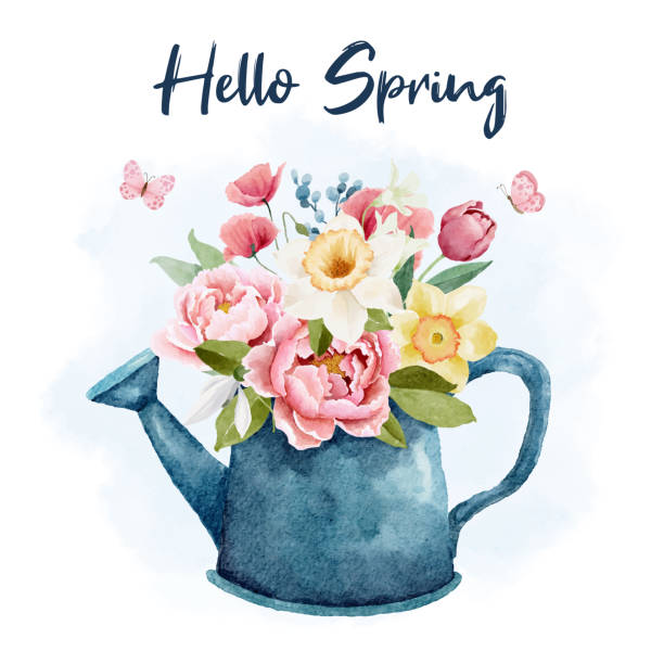 illustrations, cliparts, dessins animés et icônes de arrosoir à l’aquarelle avec des fleurs de printemps - daffodil flower spring vector