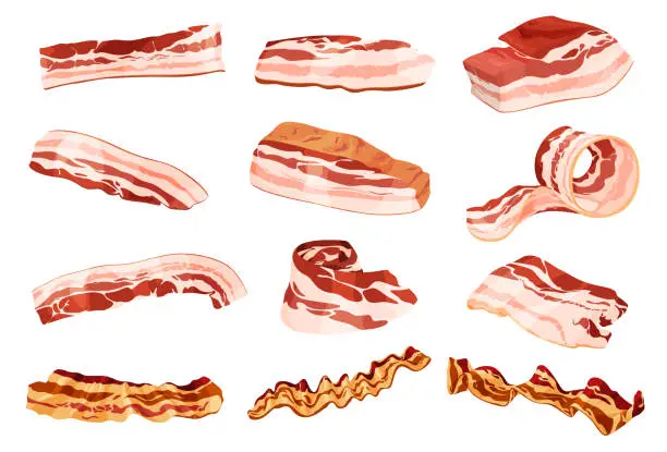 Vector illustration of Raw and fried pieces of bacon collection vector isometric illustration fresh slices of meat steak