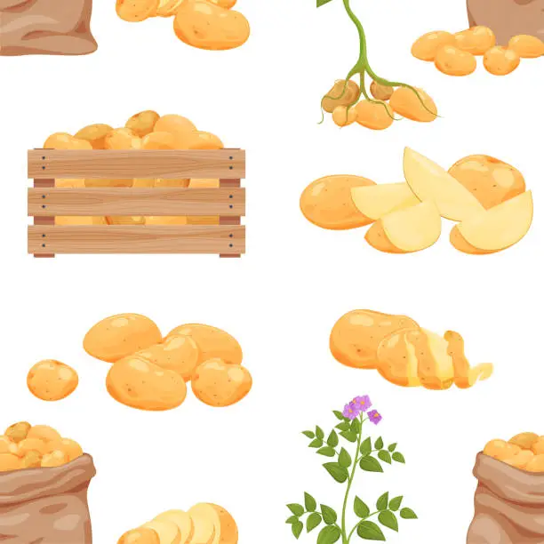 Vector illustration of Potatoes farming products seamless pattern vector flat illustration. Seasonal potato harvest