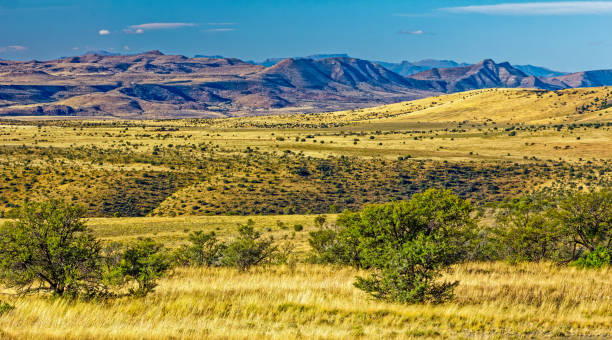 istock High plateau and mountains overlooking Cradock 1371735728