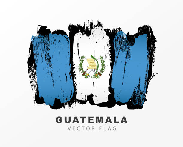 flaga gwatemali. kolorowe pociągnięcia pędzlem rysowane ręcznie. ilustracja wektorowa izolowana na białym tle. - guatemalan flag stock illustrations