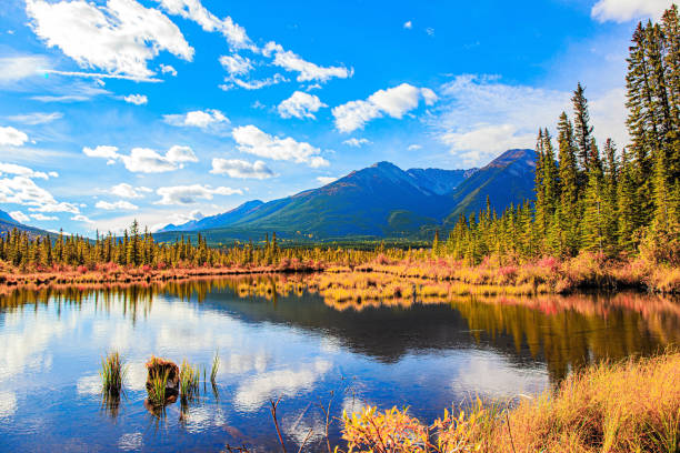 istock Indian summer in the Rocky Mountains 1371737954