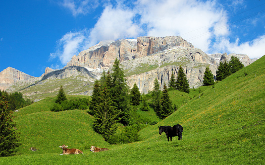 The photo was taken in summer and shows a typical landscape on the way to Colfosco, in the Puez-Odle natural park (Dolomites, Italy)