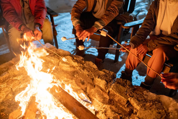 pessoas cozinhando marshmallows durante a caminhada de inverno - bonfire people campfire men - fotografias e filmes do acervo