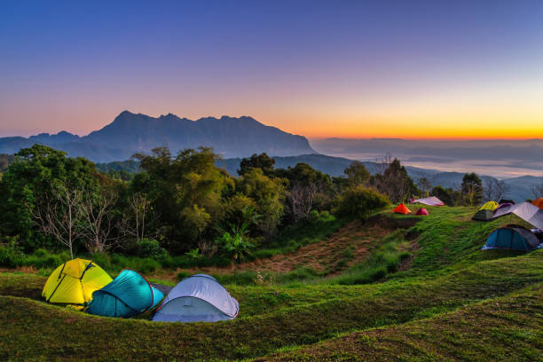 istock Tropical forest nature landscape view with mountain range sunrise at Doi Chiang Dao, Chiang Mai Thailand 1371744992