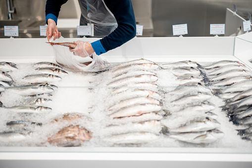Fishmonger lays out fish on an ice counter in a supermarket. View from above on a counter with various seafood