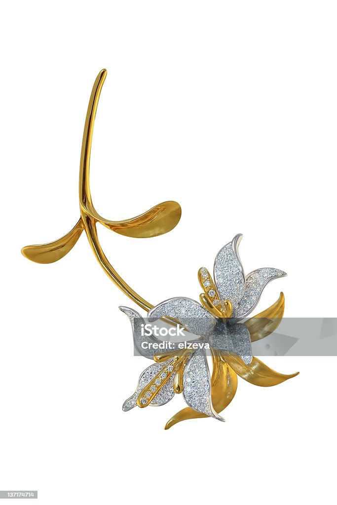 Goldene Brosche mit Diamanten - Lizenzfrei Blume Stock-Foto