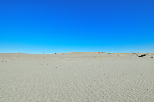 Nakatajima Sand Dunes is one of the three major sand dunes in Japan.
Every year, from spring to summer, many loggerhead turtles land on the beach for spawning.
In addition, you can see the 