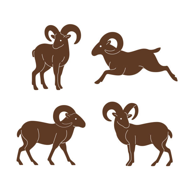 tier - bighorn sheep stock-grafiken, -clipart, -cartoons und -symbole