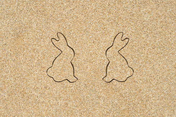 Drawing creative two easter bunny on the sand on the beach.