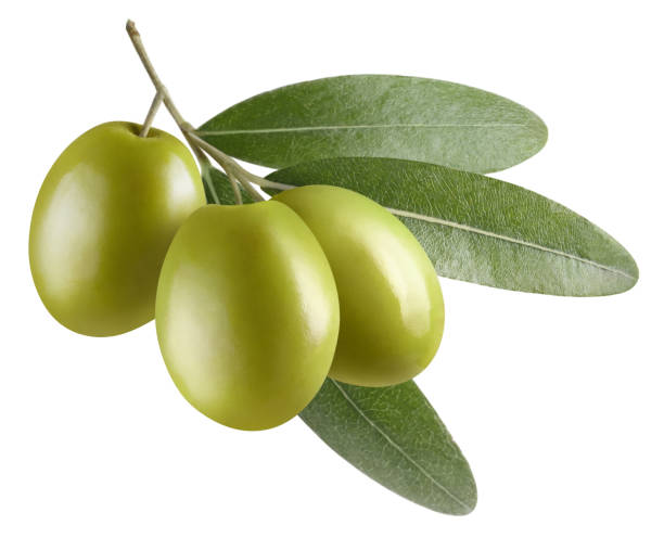 istock Olive branch with three delicious olives on white 1371752567
