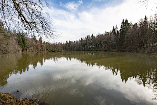 istock Flooded Country Pond. 1371752783
