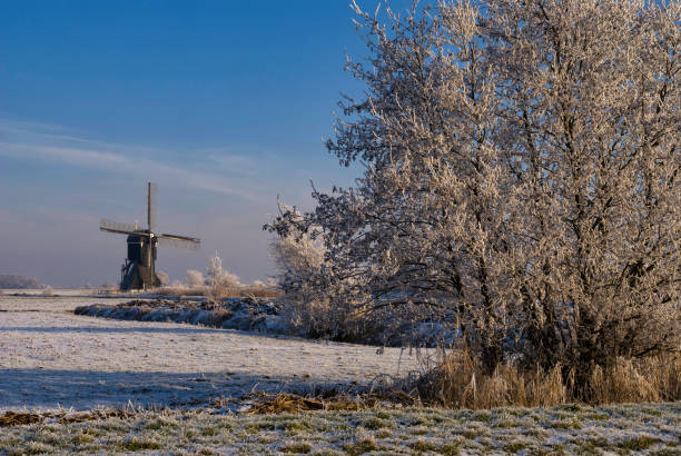 istock Riped trees in front of the windmill Broekmolen 1371753527