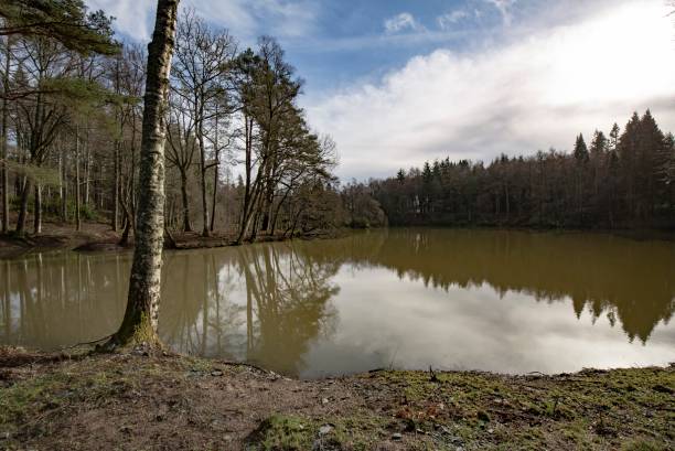 istock Murky Waters Of A Flooded Farm Pond. 1371753622