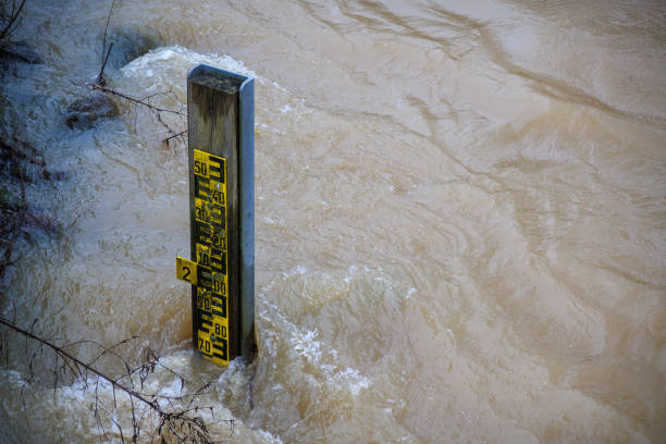 istock a water level can be read from a water level gauge placed in the river. 1371757797
