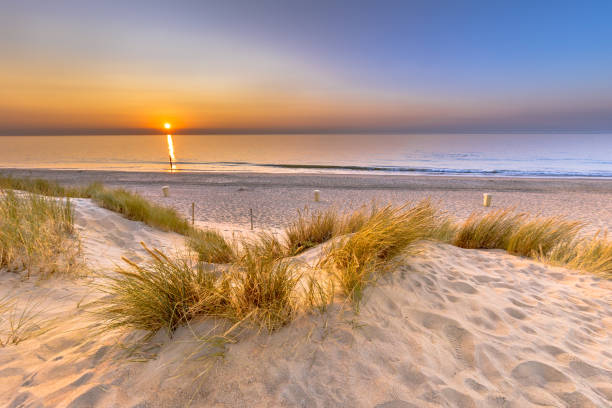 istock Sunset View over ocean from dune in Zeeland 1371759274