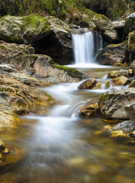 istock Autumn at the Aitzondo waterfall, Aiako Harriak Natural Park, Euskadi 1371759667