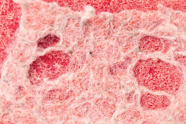 istock Old red sponge textured background. Foam rubber background 1371760383