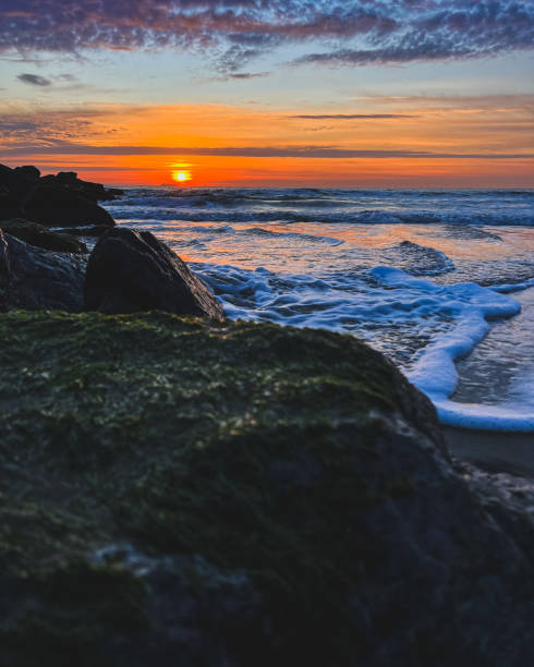 istock Sunrise at the Beach 1371760450