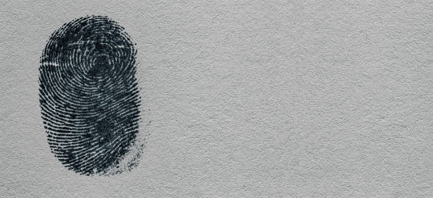 Black macro fingerprint,Fingerprint detail, Black macro fingerprint,Fingerprint detail, fingerprint scanner photos stock pictures, royalty-free photos & images