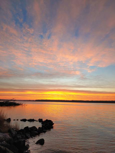 istock Chesapeake bay tributary shoreline at sunrise 1371763027