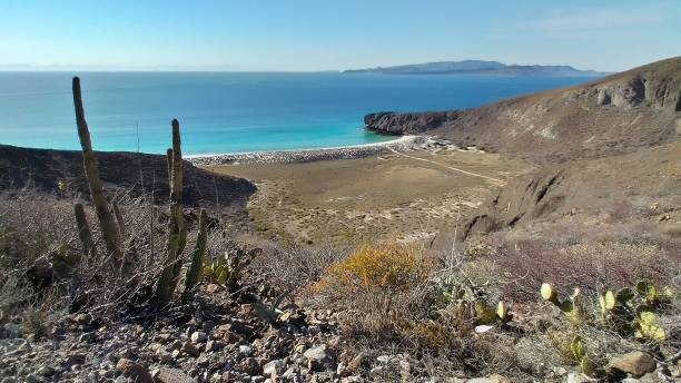 istock Playa Escondida, Pichilinque, BCS, Mexico 1371765187