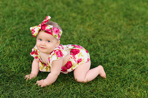 Outdoor portrait of adorable 6 months old baby girl playing in summer park, child crawling on fresh green lawn