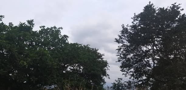 Clear sky