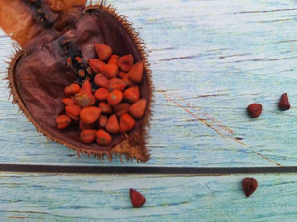 annatto (urucum) - achiote fotografías e imágenes de stock