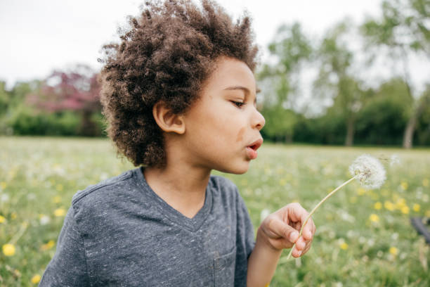 istock Boy blowing seeds off dandelion, close up, side view 1371768159