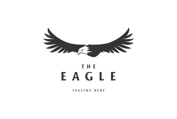 simple retro flying eagle hawk falcon bird silhouette ikona design vector - wing star shape freedom image stock illustrations