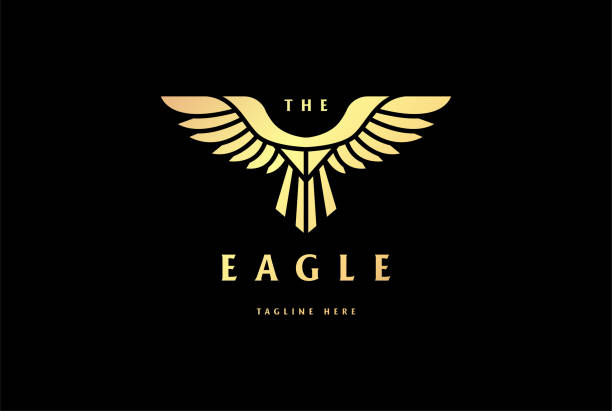 golden strong eagle hawk falcon monogram odznaka emblemat ikona design vector - wing star shape freedom image stock illustrations