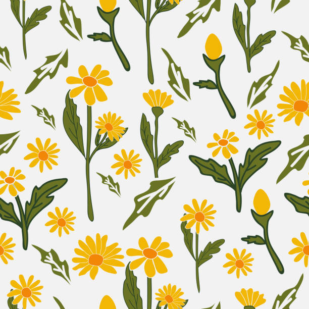 żółty stokrotka letni bezszwowy wzór - wedding flower decor invitation stock illustrations