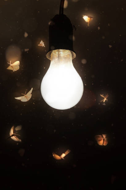 ночные мотыльки летят на свет винтажной лампы. - moth стоковые фото и изображения