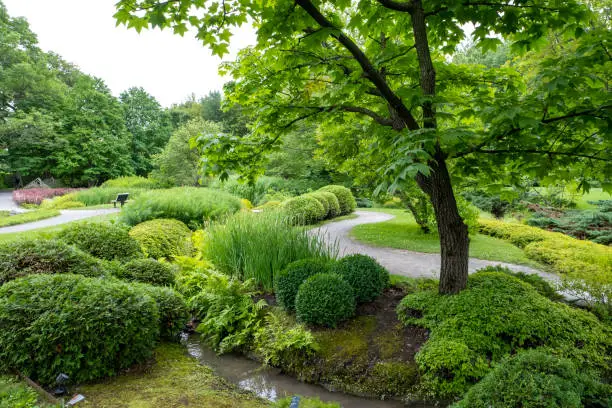 Photo of Landscaped green garden