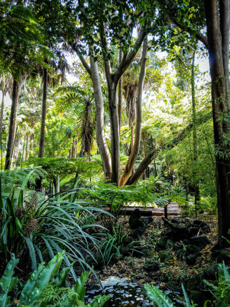 Royal Botanic Gardens, Melbourne stock photo